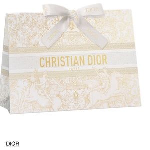 Dior holiday gift bag